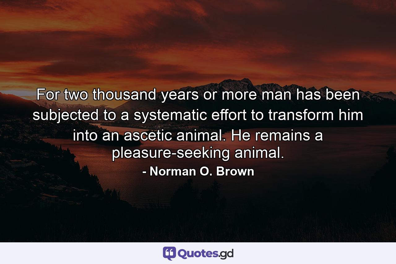 For two thousand years or more man has been subjected to a systematic effort to transform him into an ascetic animal. He remains a pleasure-seeking animal. - Quote by Norman O. Brown