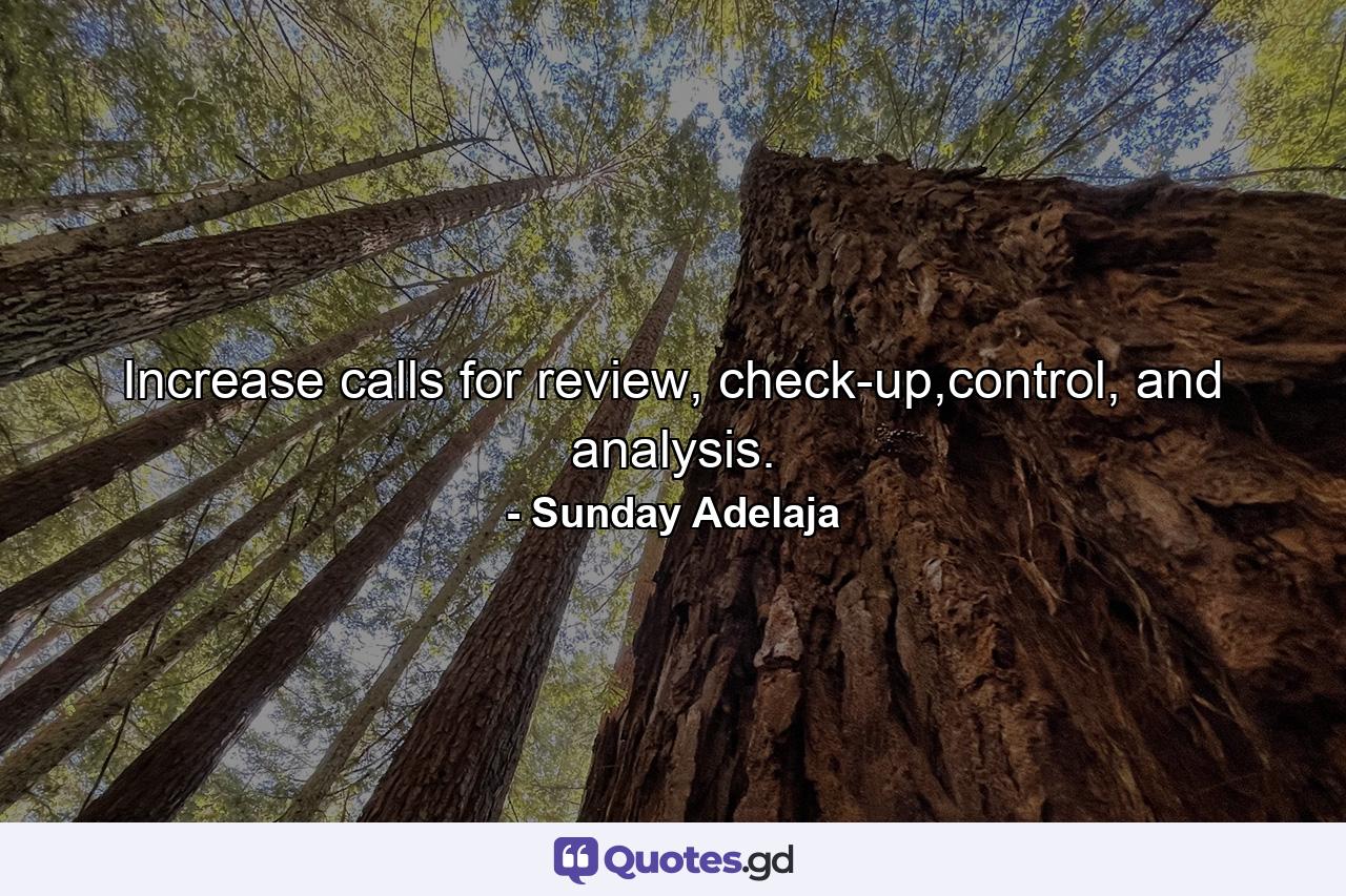 Increase calls for review, check-up,control, and analysis. - Quote by Sunday Adelaja