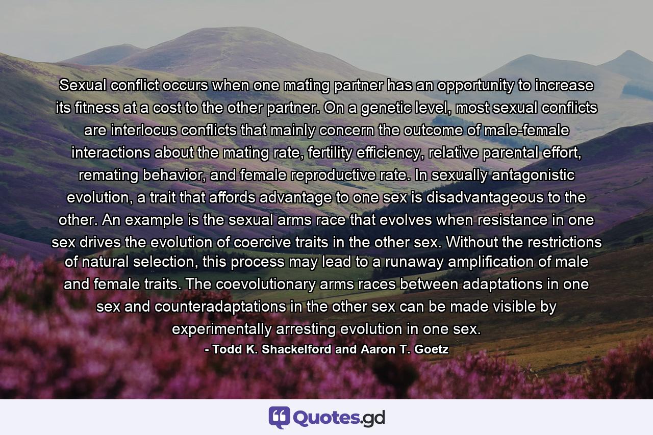 Sexual conflict occurs when one mating partner has an opportunity to increase its fitness at a cost to the other partner. On a genetic level, most sexual conflicts are interlocus conflicts that mainly concern the outcome of male-female interactions about the mating rate, fertility efficiency, relative parental effort, remating behavior, and female reproductive rate. In sexually antagonistic evolution, a trait that affords advantage to one sex is disadvantageous to the other. An example is the sexual arms race that evolves when resistance in one sex drives the evolution of coercive traits in the other sex. Without the restrictions of natural selection, this process may lead to a runaway amplification of male and female traits. The coevolutionary arms races between adaptations in one sex and counteradaptations in the other sex can be made visible by experimentally arresting evolution in one sex. - Quote by Todd K. Shackelford and Aaron T. Goetz