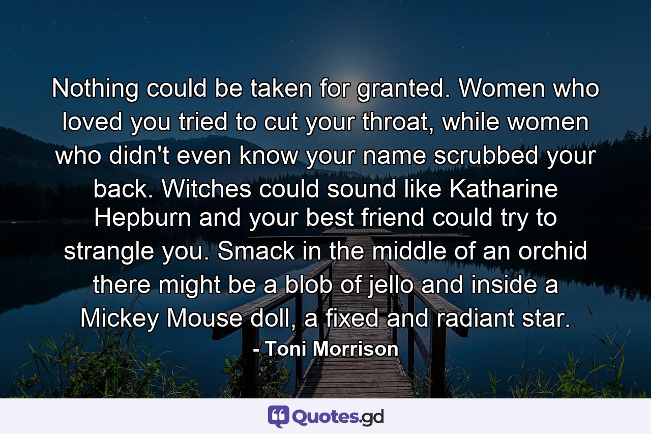 Nothing could be taken for granted. Women who loved you tried to cut your throat, while women who didn't even know your name scrubbed your back. Witches could sound like Katharine Hepburn and your best friend could try to strangle you. Smack in the middle of an orchid there might be a blob of jello and inside a Mickey Mouse doll, a fixed and radiant star. - Quote by Toni Morrison