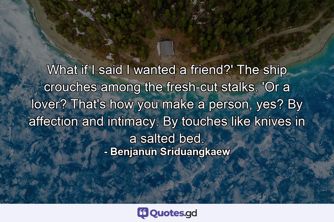 What if I said I wanted a friend?' The ship crouches among the fresh-cut stalks. 'Or a lover? That's how you make a person, yes? By affection and intimacy. By touches like knives in a salted bed. - Quote by Benjanun Sriduangkaew