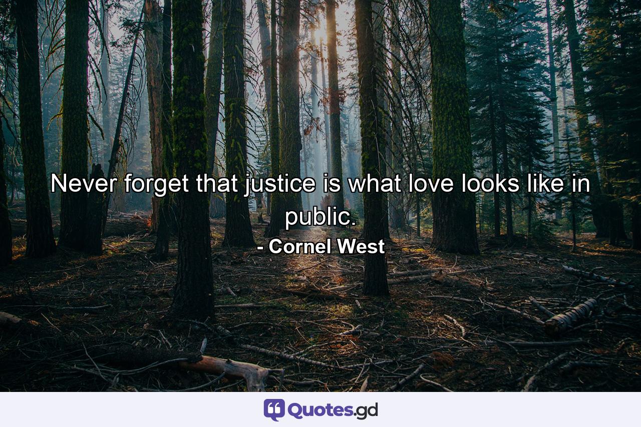 Never forget that justice is what love looks like in public. - Quote by Cornel West