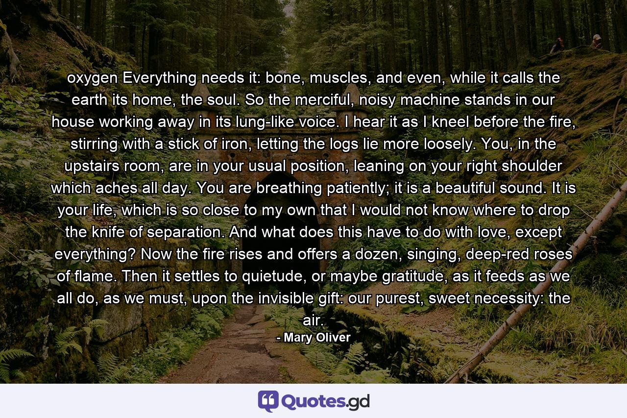 oxygen Everything needs it: bone, muscles, and even, while it calls the earth its home, the soul. So the merciful, noisy machine stands in our house working away in its lung-like voice. I hear it as I kneel before the fire, stirring with a stick of iron, letting the logs lie more loosely. You, in the upstairs room, are in your usual position, leaning on your right shoulder which aches all day. You are breathing patiently; it is a beautiful sound. It is your life, which is so close to my own that I would not know where to drop the knife of separation. And what does this have to do with love, except everything? Now the fire rises and offers a dozen, singing, deep-red roses of flame. Then it settles to quietude, or maybe gratitude, as it feeds as we all do, as we must, upon the invisible gift: our purest, sweet necessity: the air. - Quote by Mary Oliver