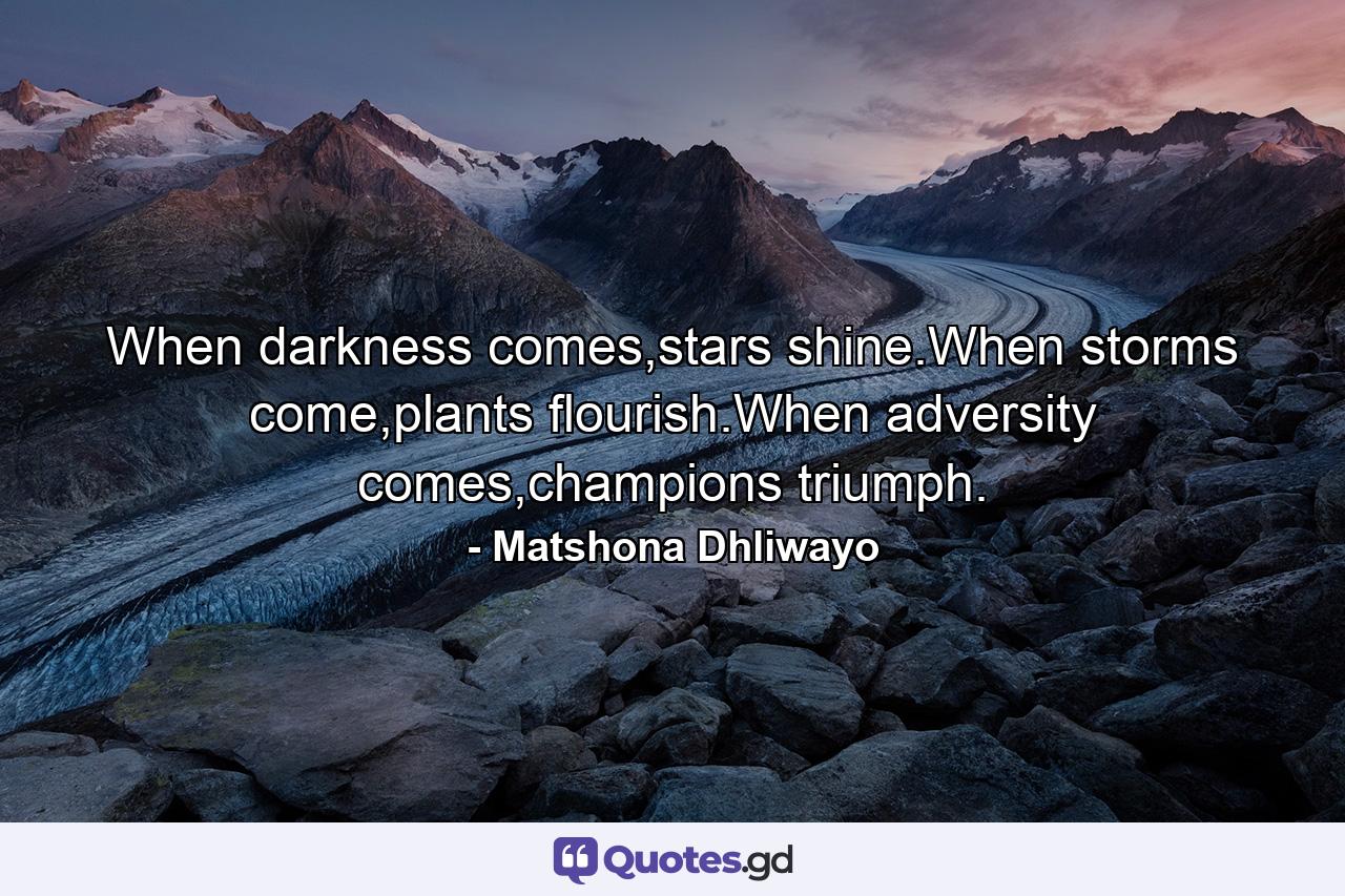 When darkness comes,stars shine.When storms come,plants flourish.When adversity comes,champions triumph. - Quote by Matshona Dhliwayo