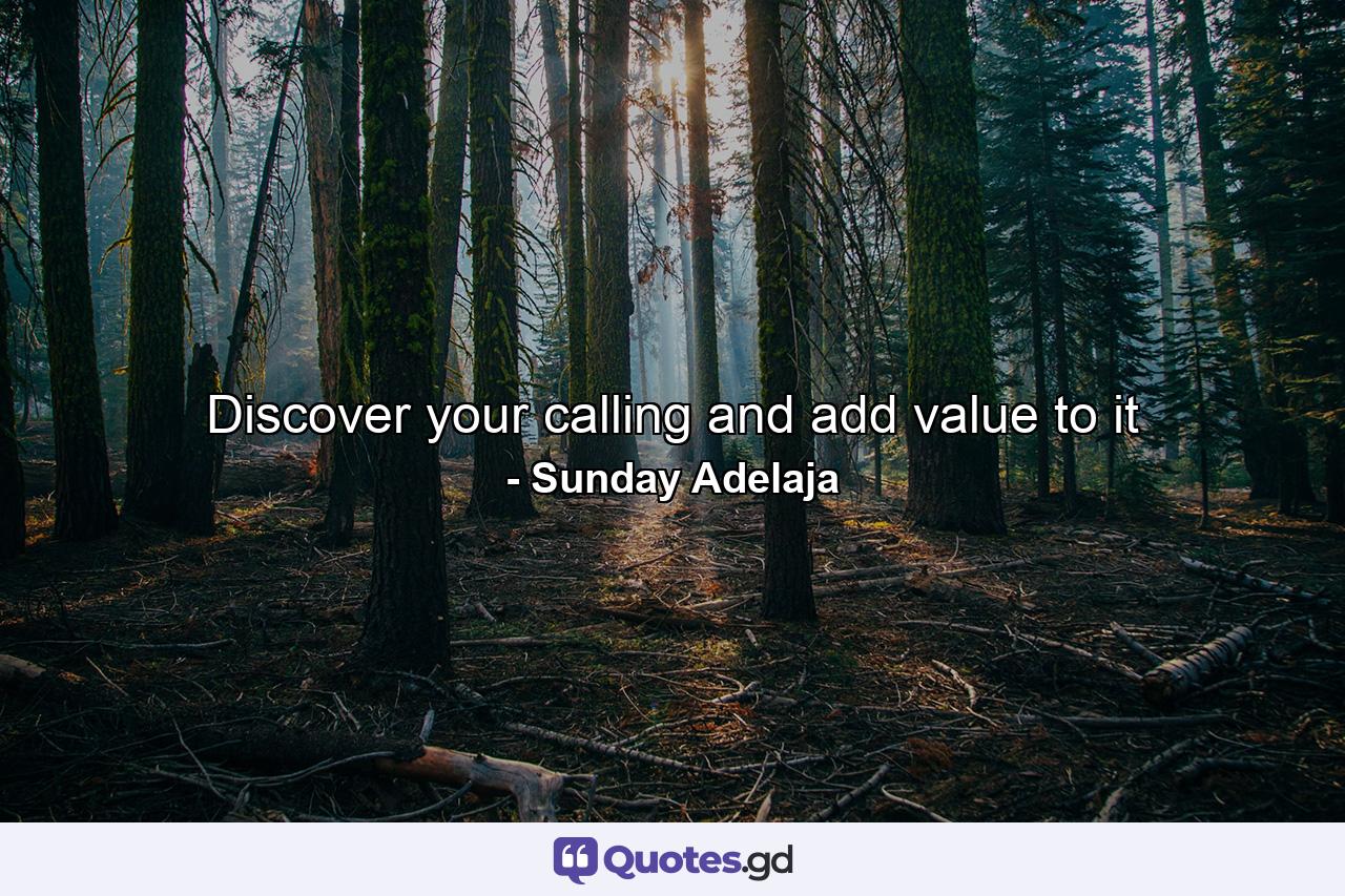 Discover your calling and add value to it - Quote by Sunday Adelaja