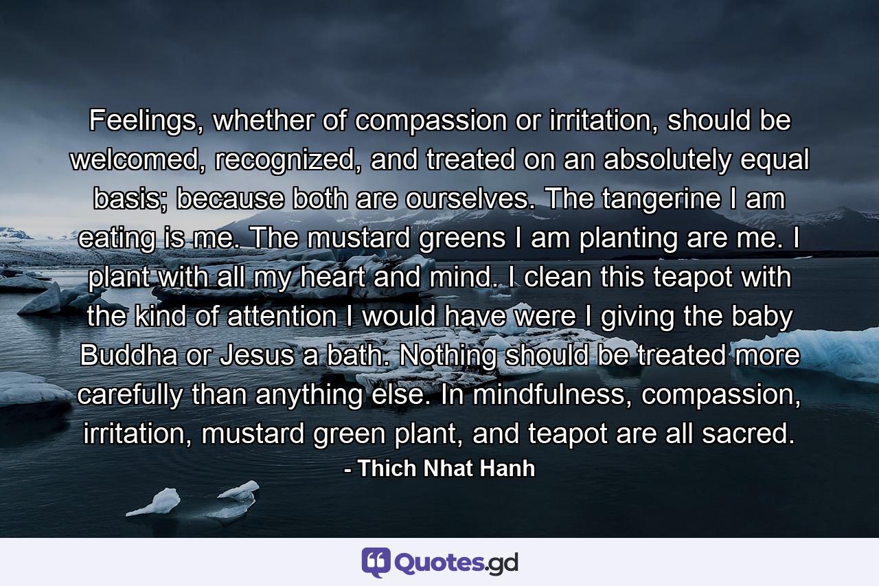 Feelings, whether of compassion or irritation, should be welcomed, recognized, and treated on an absolutely equal basis; because both are ourselves. The tangerine I am eating is me. The mustard greens I am planting are me. I plant with all my heart and mind. I clean this teapot with the kind of attention I would have were I giving the baby Buddha or Jesus a bath. Nothing should be treated more carefully than anything else. In mindfulness, compassion, irritation, mustard green plant, and teapot are all sacred. - Quote by Thich Nhat Hanh