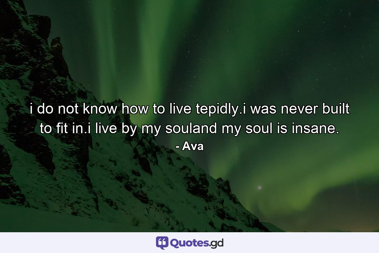 i do not know how to live tepidly.i was never built to fit in.i live by my souland my soul is insane. - Quote by Ava