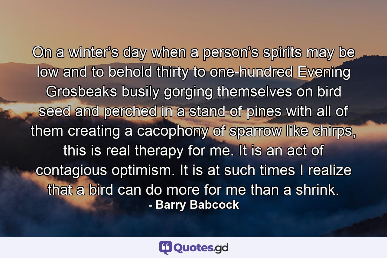 On a winter’s day when a person’s spirits may be low and to behold thirty to one-hundred Evening Grosbeaks busily gorging themselves on bird seed and perched in a stand of pines with all of them creating a cacophony of sparrow like chirps, this is real therapy for me. It is an act of contagious optimism. It is at such times I realize that a bird can do more for me than a shrink. - Quote by Barry Babcock