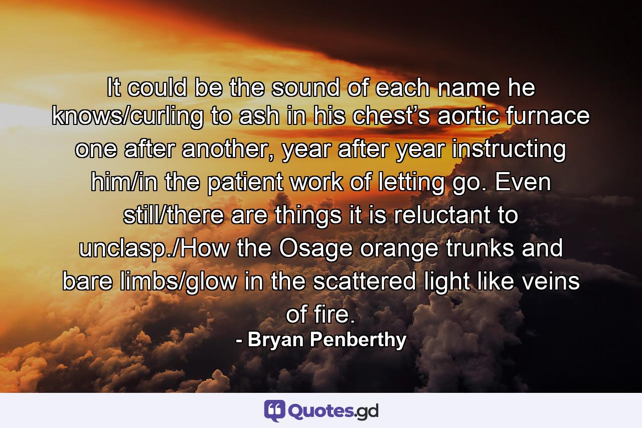 It could be the sound of each name he knows/curling to ash in his chest’s aortic furnace one after another, year after year instructing him/in the patient work of letting go. Even still/there are things it is reluctant to unclasp./How the Osage orange trunks and bare limbs/glow in the scattered light like veins of fire. - Quote by Bryan Penberthy