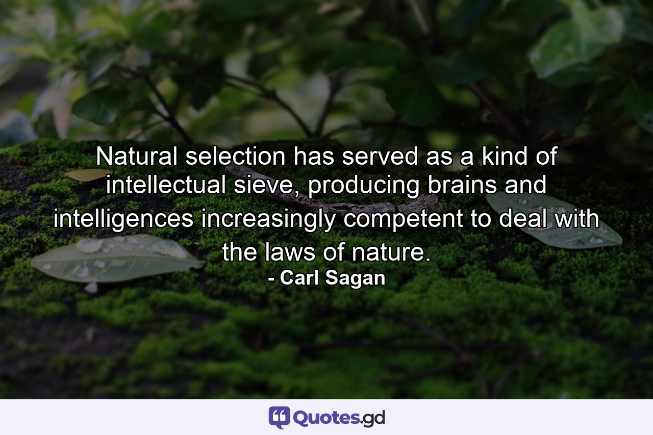 Natural selection has served as a kind of intellectual sieve, producing brains and intelligences increasingly competent to deal with the laws of nature. - Quote by Carl Sagan