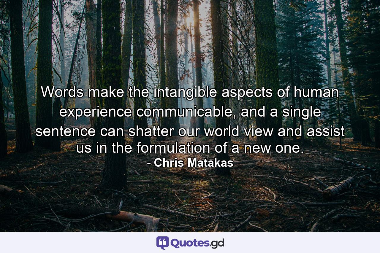 Words make the intangible aspects of human experience communicable, and a single sentence can shatter our world view and assist us in the formulation of a new one. - Quote by Chris Matakas