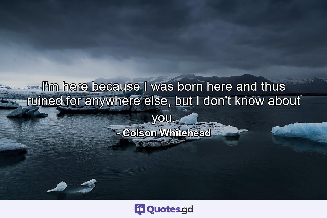 I'm here because I was born here and thus ruined for anywhere else, but I don't know about you. - Quote by Colson Whitehead