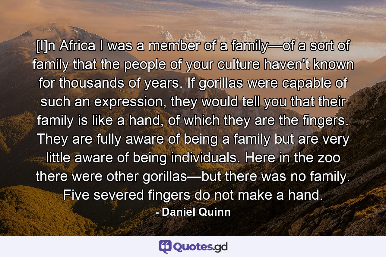 [I]n Africa I was a member of a family—of a sort of family that the people of your culture haven't known for thousands of years. If gorillas were capable of such an expression, they would tell you that their family is like a hand, of which they are the fingers. They are fully aware of being a family but are very little aware of being individuals. Here in the zoo there were other gorillas—but there was no family. Five severed fingers do not make a hand. - Quote by Daniel Quinn