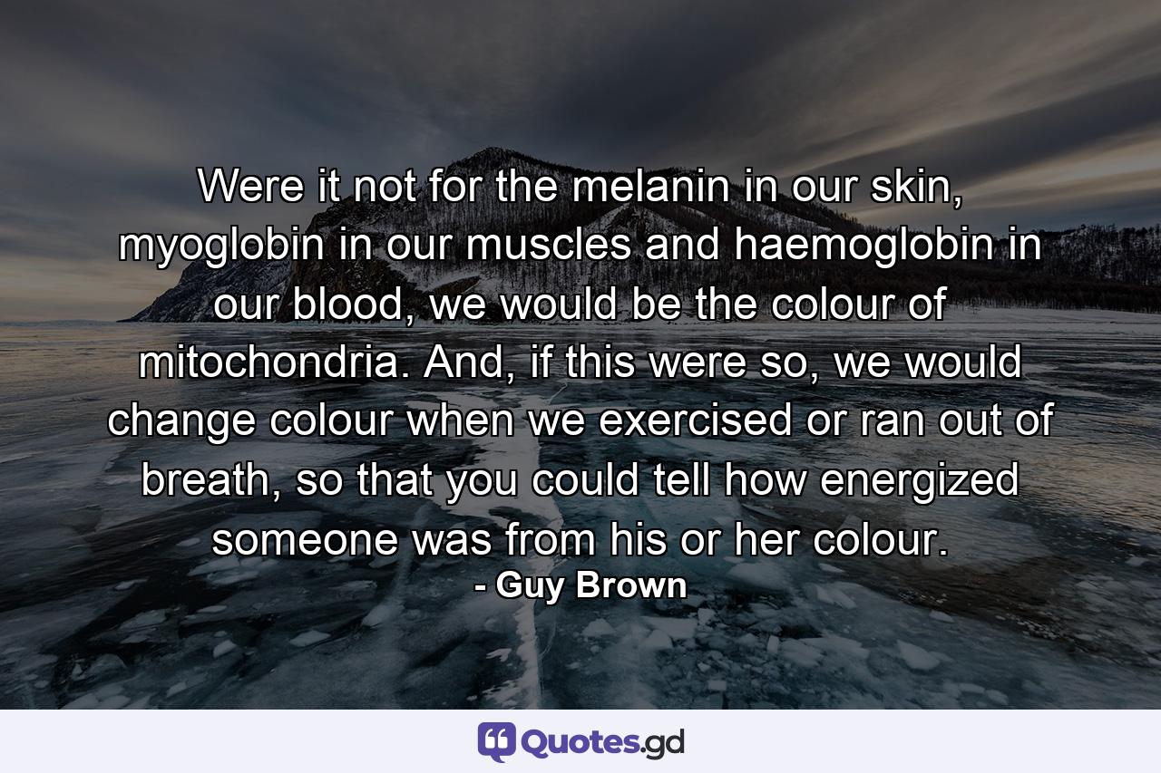 Were it not for the melanin in our skin, myoglobin in our muscles and haemoglobin in our blood, we would be the colour of mitochondria. And, if this were so, we would change colour when we exercised or ran out of breath, so that you could tell how energized someone was from his or her colour. - Quote by Guy Brown