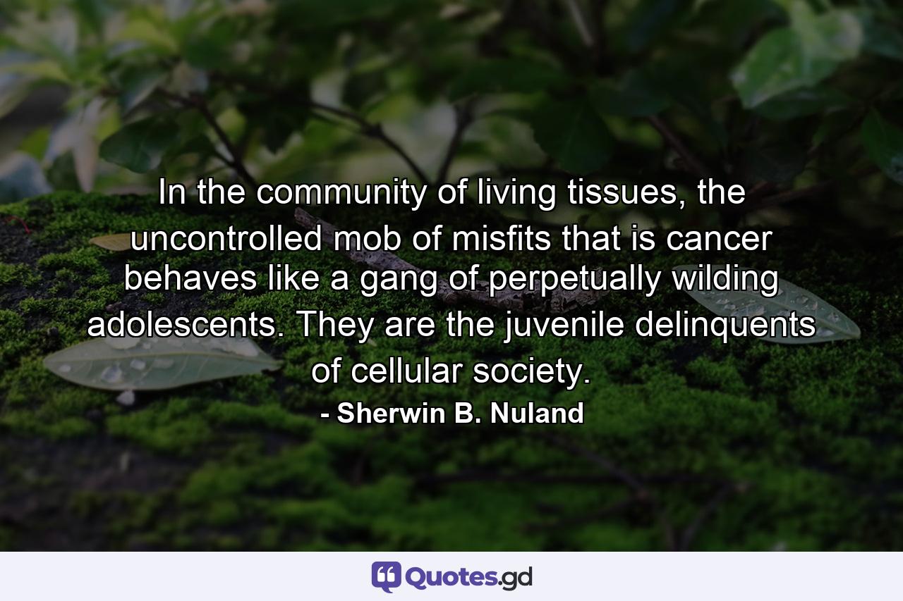 In the community of living tissues, the uncontrolled mob of misfits that is cancer behaves like a gang of perpetually wilding adolescents. They are the juvenile delinquents of cellular society. - Quote by Sherwin B. Nuland