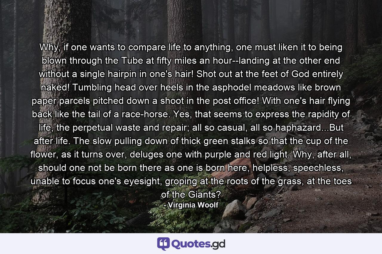 Why, if one wants to compare life to anything, one must liken it to being blown through the Tube at fifty miles an hour--landing at the other end without a single hairpin in one's hair! Shot out at the feet of God entirely naked! Tumbling head over heels in the asphodel meadows like brown paper parcels pitched down a shoot in the post office! With one's hair flying back like the tail of a race-horse. Yes, that seems to express the rapidity of life, the perpetual waste and repair; all so casual, all so haphazard...But after life. The slow pulling down of thick green stalks so that the cup of the flower, as it turns over, deluges one with purple and red light. Why, after all, should one not be born there as one is born here, helpless, speechless, unable to focus one's eyesight, groping at the roots of the grass, at the toes of the Giants? - Quote by Virginia Woolf