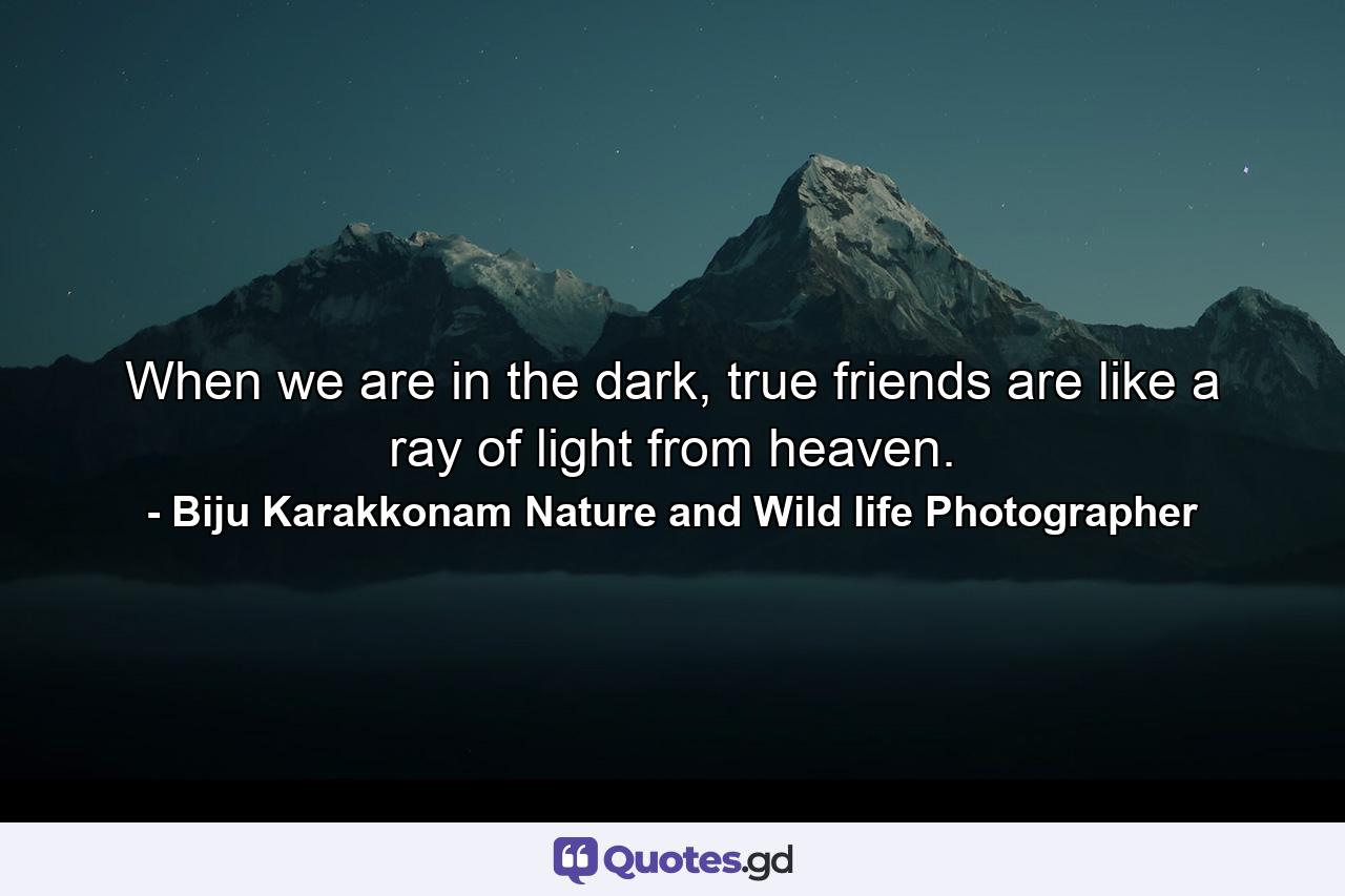 When we are in the dark, true friends are like a ray of light from heaven. - Quote by Biju Karakkonam Nature and Wild life Photographer