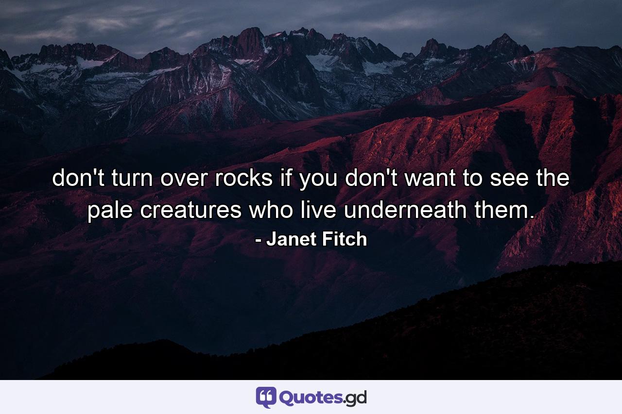 don't turn over rocks if you don't want to see the pale creatures who live underneath them. - Quote by Janet Fitch