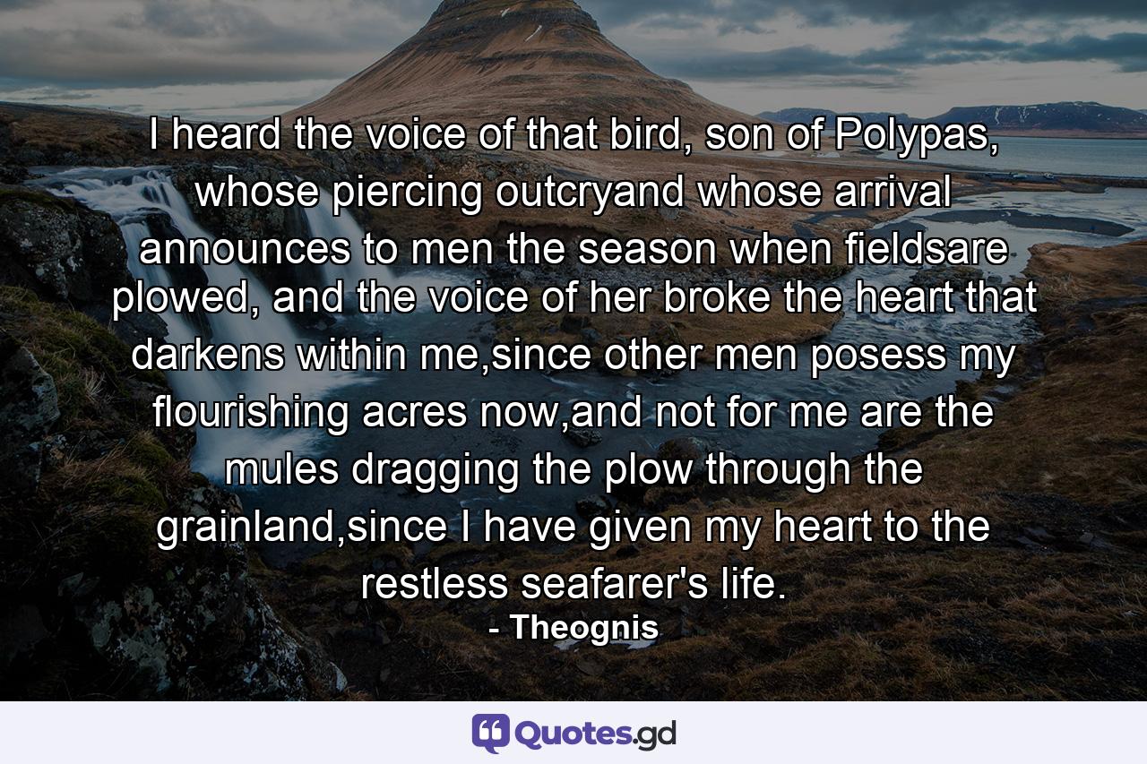 I heard the voice of that bird, son of Polypas, whose piercing outcryand whose arrival announces to men the season when fieldsare plowed, and the voice of her broke the heart that darkens within me,since other men posess my flourishing acres now,and not for me are the mules dragging the plow through the grainland,since I have given my heart to the restless seafarer's life. - Quote by Theognis