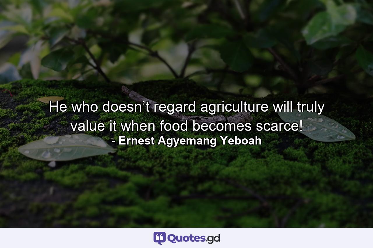 He who doesn’t regard agriculture will truly value it when food becomes scarce! - Quote by Ernest Agyemang Yeboah