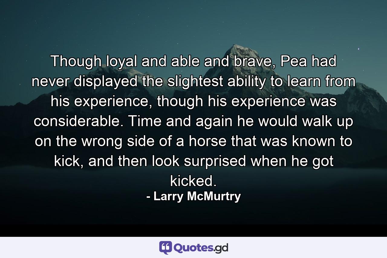 Though loyal and able and brave, Pea had never displayed the slightest ability to learn from his experience, though his experience was considerable. Time and again he would walk up on the wrong side of a horse that was known to kick, and then look surprised when he got kicked. - Quote by Larry McMurtry