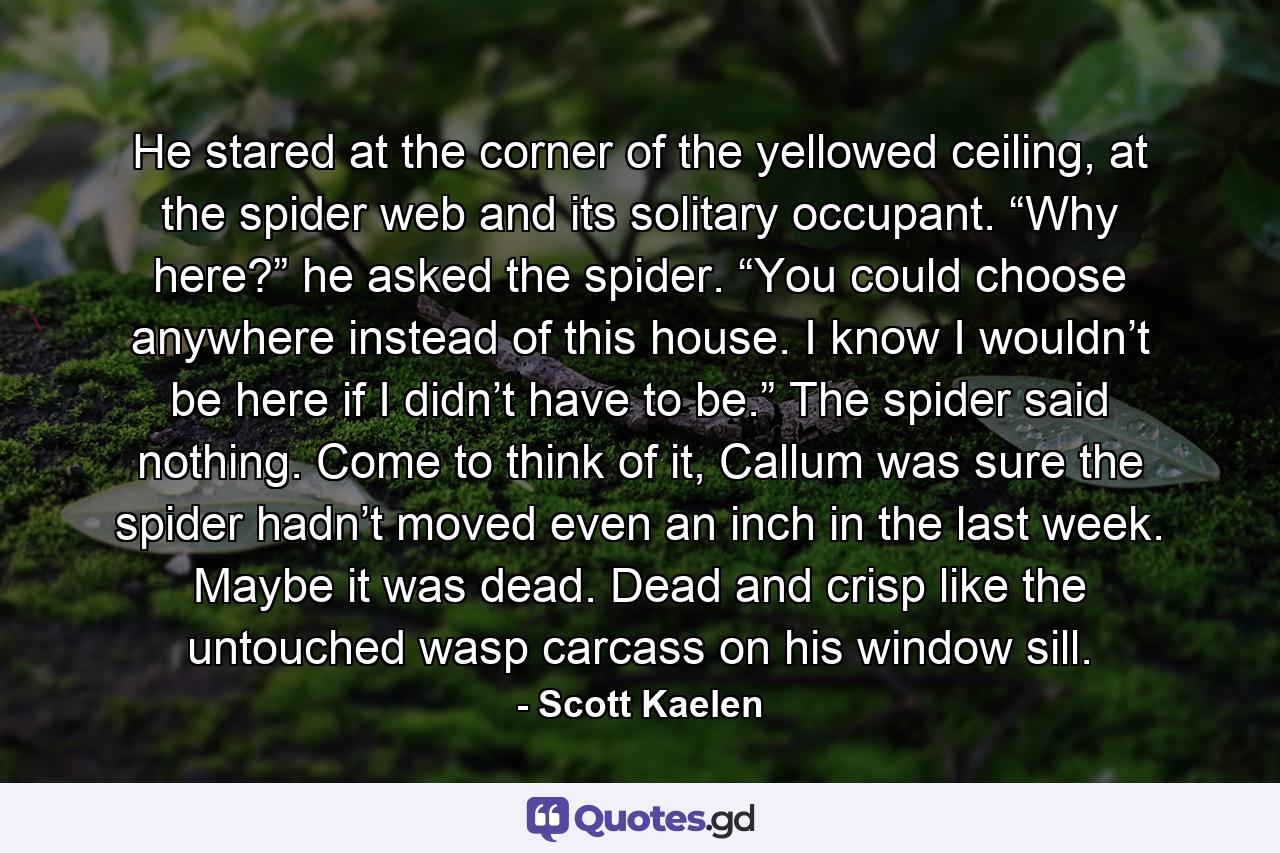 He stared at the corner of the yellowed ceiling, at the spider web and its solitary occupant. “Why here?” he asked the spider. “You could choose anywhere instead of this house. I know I wouldn’t be here if I didn’t have to be.” The spider said nothing. Come to think of it, Callum was sure the spider hadn’t moved even an inch in the last week. Maybe it was dead. Dead and crisp like the untouched wasp carcass on his window sill. - Quote by Scott Kaelen