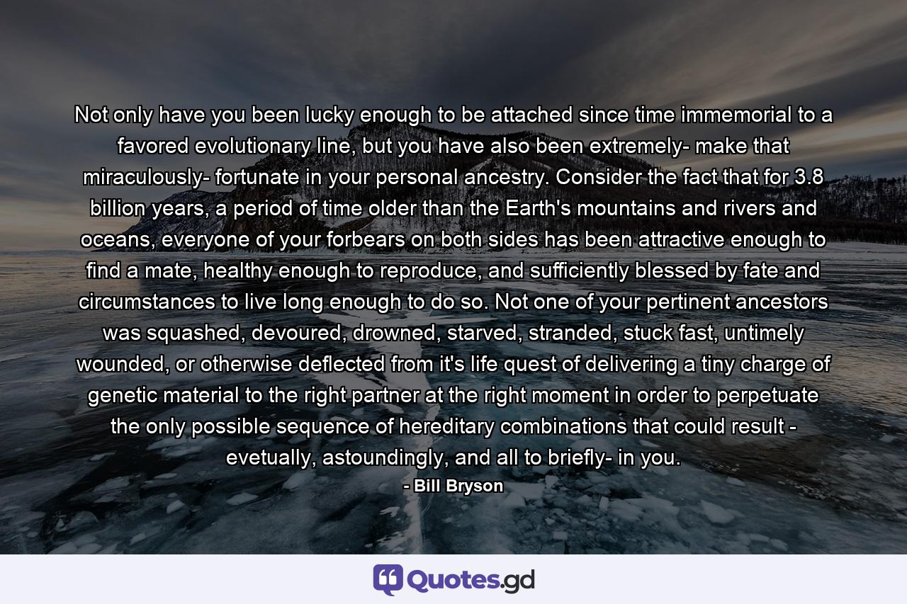 Not only have you been lucky enough to be attached since time immemorial to a favored evolutionary line, but you have also been extremely- make that miraculously- fortunate in your personal ancestry. Consider the fact that for 3.8 billion years, a period of time older than the Earth's mountains and rivers and oceans, everyone of your forbears on both sides has been attractive enough to find a mate, healthy enough to reproduce, and sufficiently blessed by fate and circumstances to live long enough to do so. Not one of your pertinent ancestors was squashed, devoured, drowned, starved, stranded, stuck fast, untimely wounded, or otherwise deflected from it's life quest of delivering a tiny charge of genetic material to the right partner at the right moment in order to perpetuate the only possible sequence of hereditary combinations that could result - evetually, astoundingly, and all to briefly- in you. - Quote by Bill Bryson