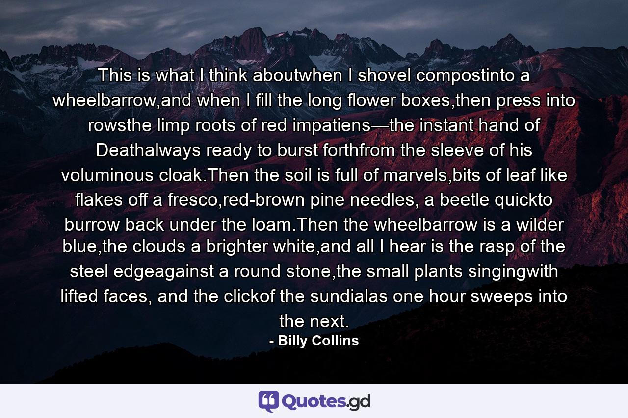 This is what I think aboutwhen I shovel compostinto a wheelbarrow,and when I fill the long flower boxes,then press into rowsthe limp roots of red impatiens—the instant hand of Deathalways ready to burst forthfrom the sleeve of his voluminous cloak.Then the soil is full of marvels,bits of leaf like flakes off a fresco,red-brown pine needles, a beetle quickto burrow back under the loam.Then the wheelbarrow is a wilder blue,the clouds a brighter white,and all I hear is the rasp of the steel edgeagainst a round stone,the small plants singingwith lifted faces, and the clickof the sundialas one hour sweeps into the next. - Quote by Billy Collins