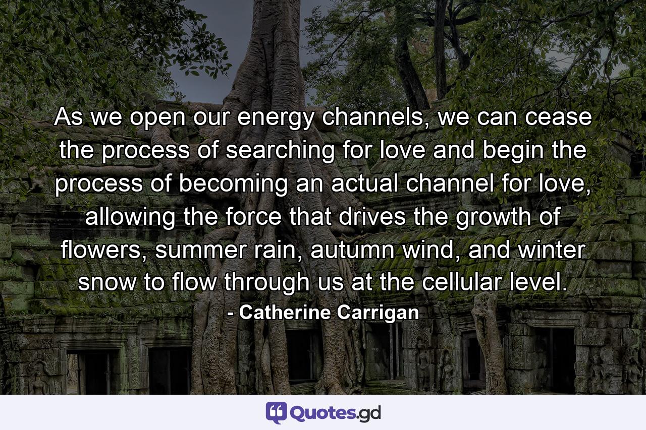 As we open our energy channels, we can cease the process of searching for love and begin the process of becoming an actual channel for love, allowing the force that drives the growth of flowers, summer rain, autumn wind, and winter snow to flow through us at the cellular level. - Quote by Catherine Carrigan