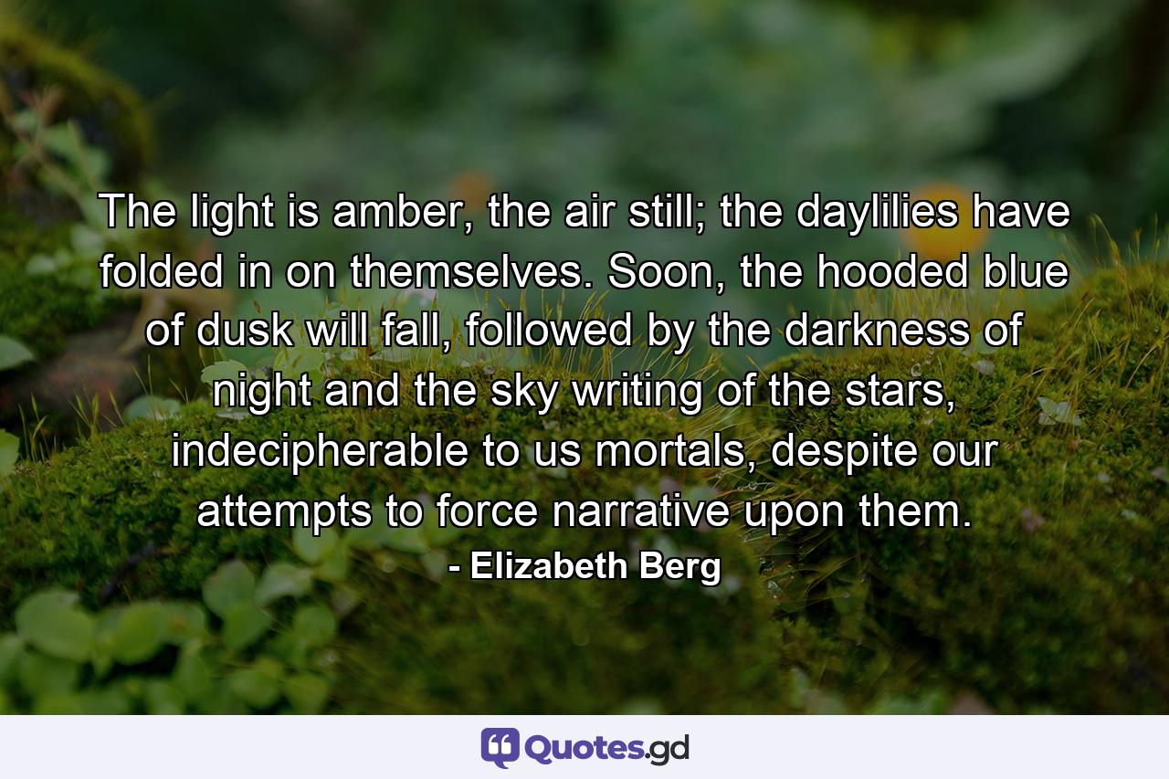 The light is amber, the air still; the daylilies have folded in on themselves. Soon, the hooded blue of dusk will fall, followed by the darkness of night and the sky writing of the stars, indecipherable to us mortals, despite our attempts to force narrative upon them. - Quote by Elizabeth Berg