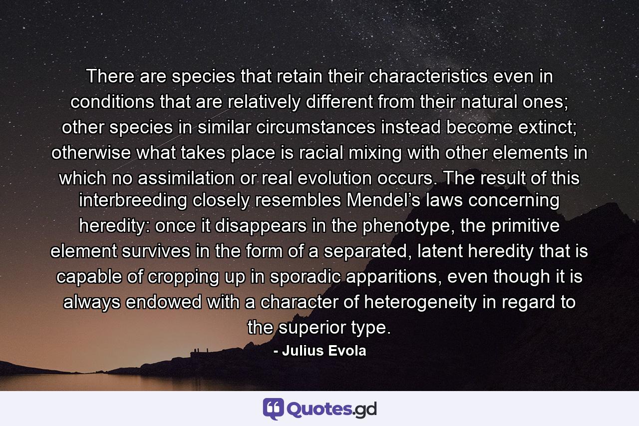 There are species that retain their characteristics even in conditions that are relatively different from their natural ones; other species in similar circumstances instead become extinct; otherwise what takes place is racial mixing with other elements in which no assimilation or real evolution occurs. The result of this interbreeding closely resembles Mendel’s laws concerning heredity: once it disappears in the phenotype, the primitive element survives in the form of a separated, latent heredity that is capable of cropping up in sporadic apparitions, even though it is always endowed with a character of heterogeneity in regard to the superior type. - Quote by Julius Evola