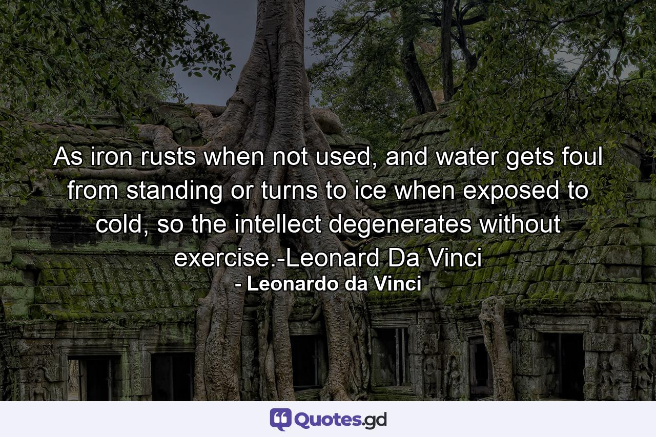 As iron rusts when not used, and water gets foul from standing or turns to ice when exposed to cold, so the intellect degenerates without exercise.-Leonard Da Vinci - Quote by Leonardo da Vinci