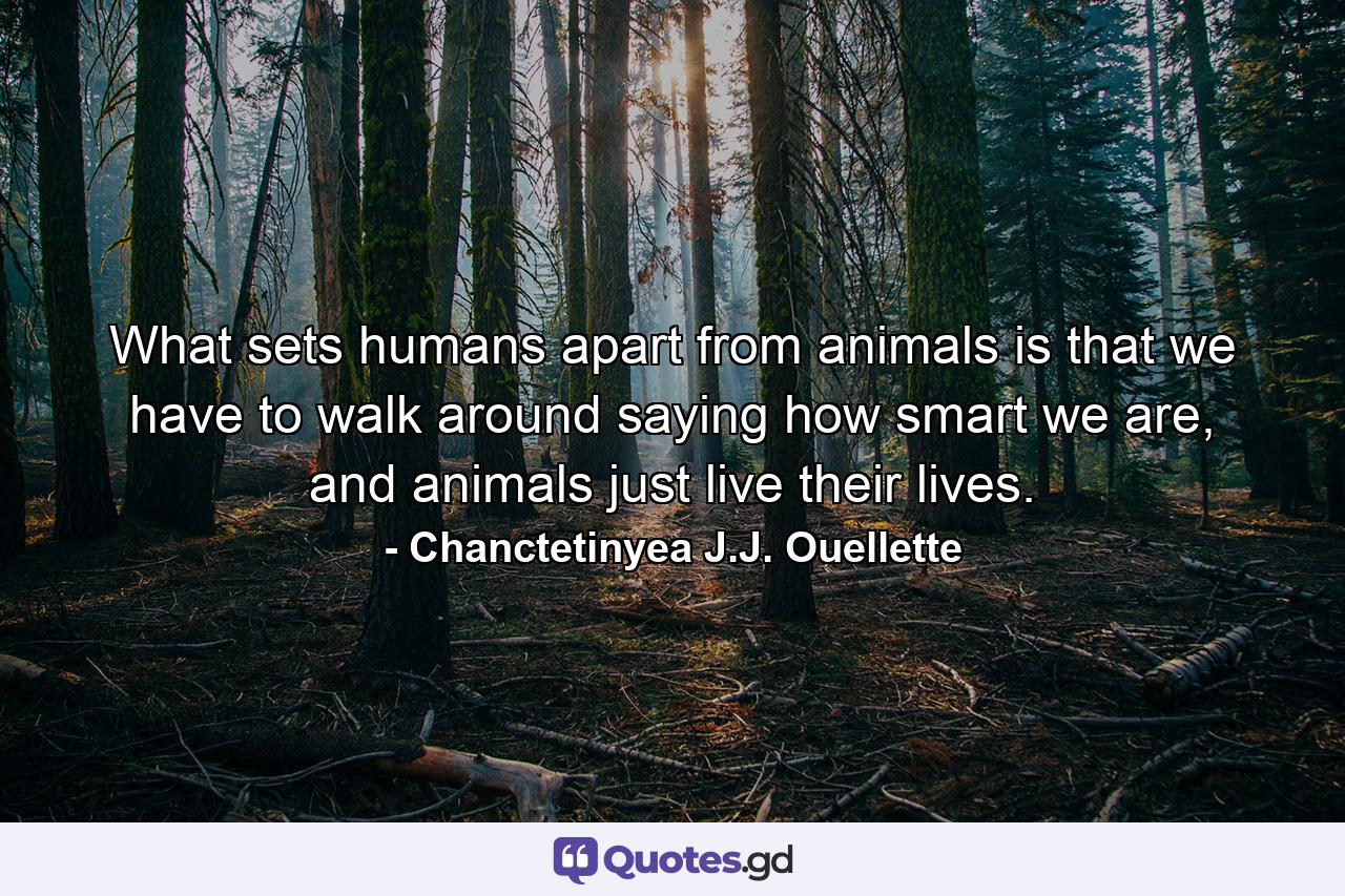 What sets humans apart from animals is that we have to walk around saying how smart we are, and animals just live their lives. - Quote by Chanctetinyea J.J. Ouellette