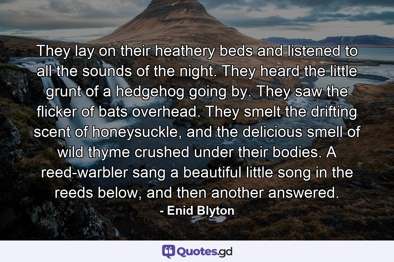 They lay on their heathery beds and listened to all the sounds of the night. They heard the little grunt of a hedgehog going by. They saw the flicker of bats overhead. They smelt the drifting scent of honeysuckle, and the delicious smell of wild thyme crushed under their bodies. A reed-warbler sang a beautiful little song in the reeds below, and then another answered. - Quote by Enid Blyton