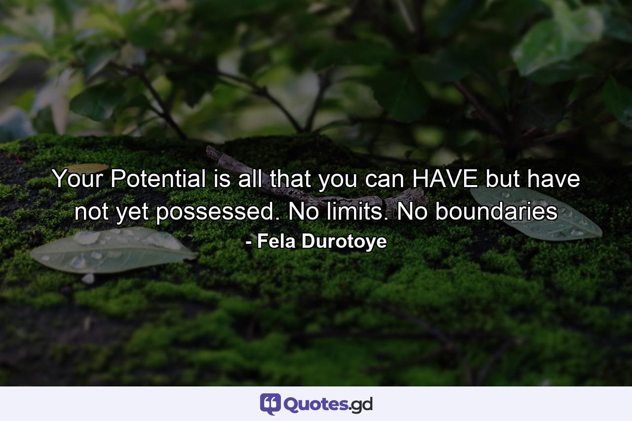 Your Potential is all that you can HAVE but have not yet possessed. No limits. No boundaries - Quote by Fela Durotoye