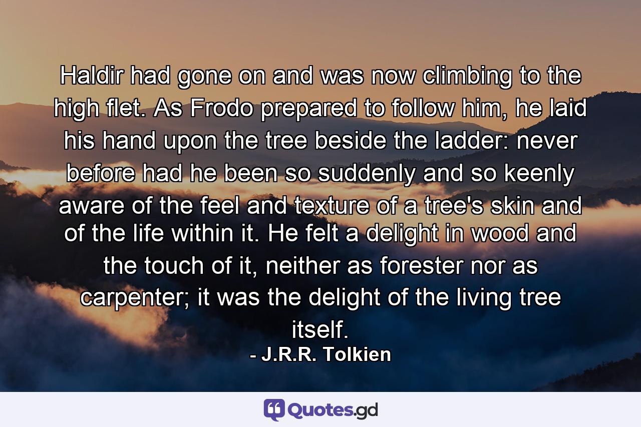 Haldir had gone on and was now climbing to the high flet. As Frodo prepared to follow him, he laid his hand upon the tree beside the ladder: never before had he been so suddenly and so keenly aware of the feel and texture of a tree's skin and of the life within it. He felt a delight in wood and the touch of it, neither as forester nor as carpenter; it was the delight of the living tree itself. - Quote by J.R.R. Tolkien