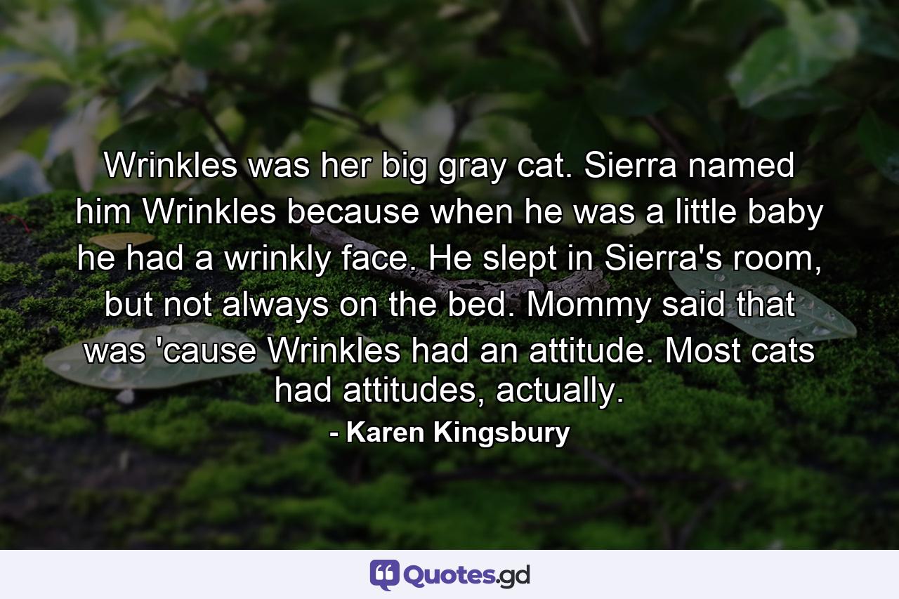 Wrinkles was her big gray cat. Sierra named him Wrinkles because when he was a little baby he had a wrinkly face. He slept in Sierra's room, but not always on the bed. Mommy said that was 'cause Wrinkles had an attitude. Most cats had attitudes, actually. - Quote by Karen Kingsbury