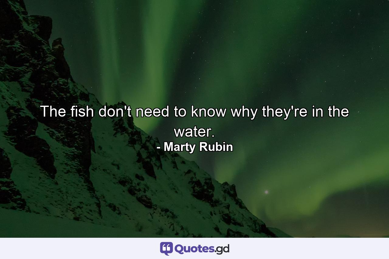 The fish don't need to know why they're in the water. - Quote by Marty Rubin