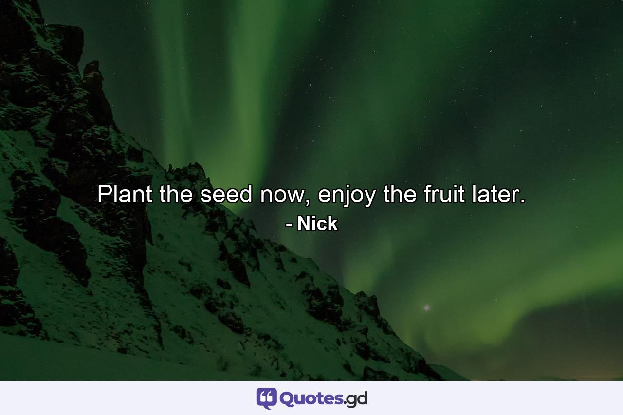 Plant the seed now, enjoy the fruit later. - Quote by Nick