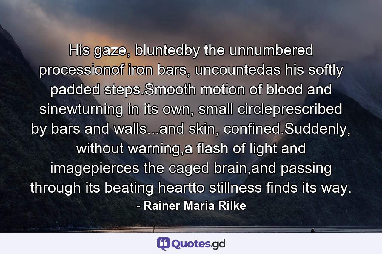 His gaze, bluntedby the unnumbered processionof iron bars, uncountedas his softly padded steps.Smooth motion of blood and sinewturning in its own, small circleprescribed by bars and walls...and skin, confined.Suddenly, without warning,a flash of light and imagepierces the caged brain,and passing through its beating heartto stillness finds its way. - Quote by Rainer Maria Rilke