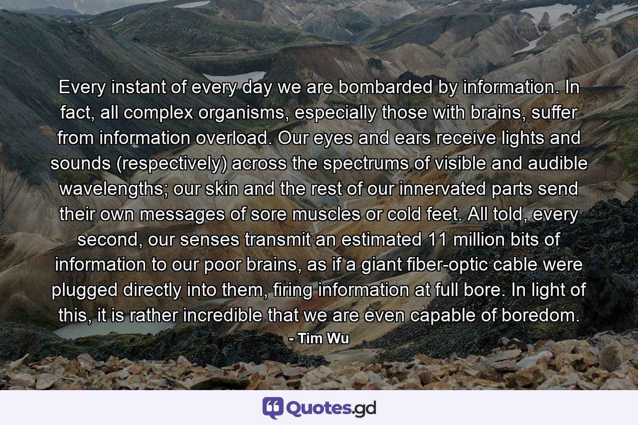 Every instant of every day we are bombarded by information. In fact, all complex organisms, especially those with brains, suffer from information overload. Our eyes and ears receive lights and sounds (respectively) across the spectrums of visible and audible wavelengths; our skin and the rest of our innervated parts send their own messages of sore muscles or cold feet. All told, every second, our senses transmit an estimated 11 million bits of information to our poor brains, as if a giant fiber-optic cable were plugged directly into them, firing information at full bore. In light of this, it is rather incredible that we are even capable of boredom. - Quote by Tim Wu