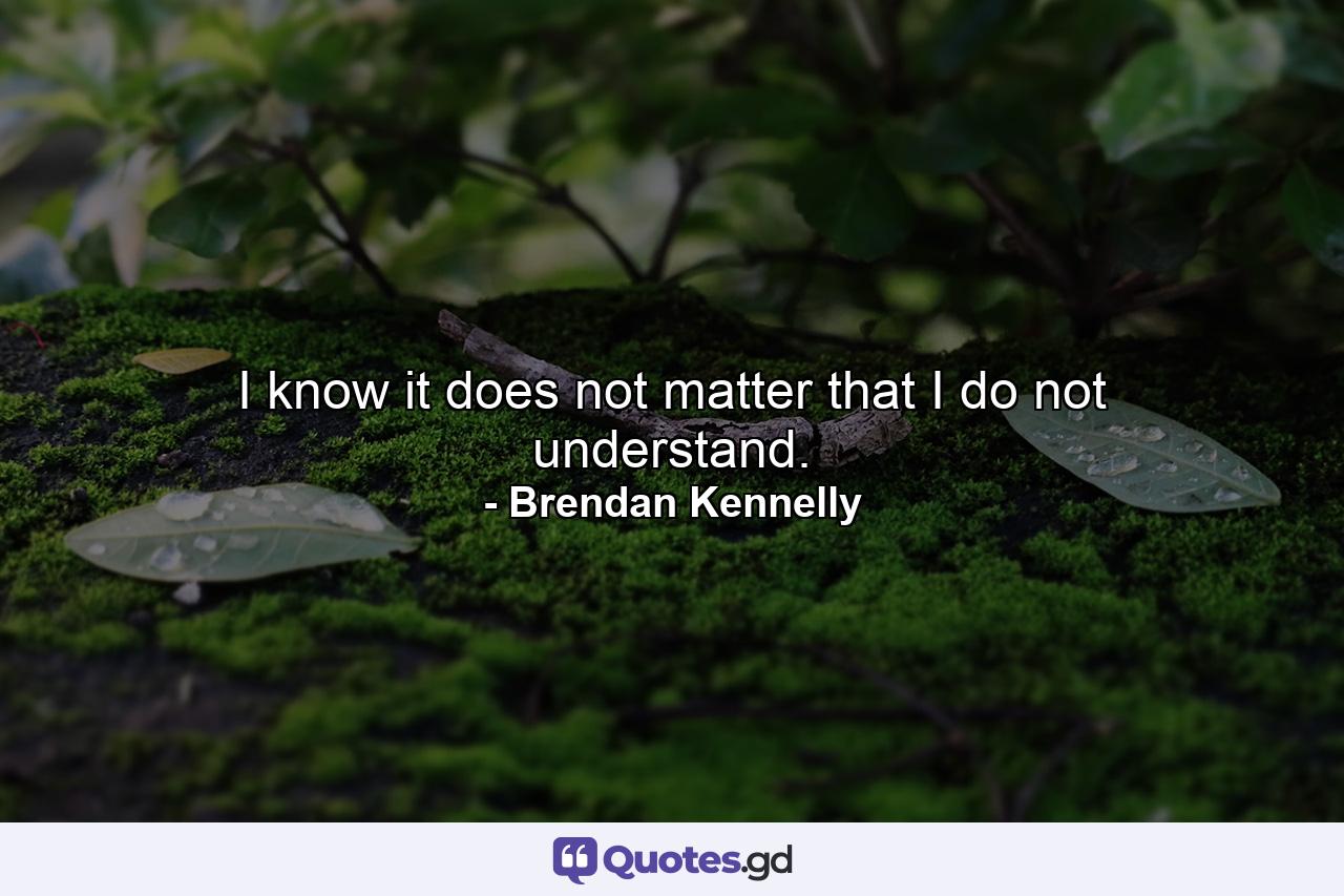 I know it does not matter that I do not understand. - Quote by Brendan Kennelly