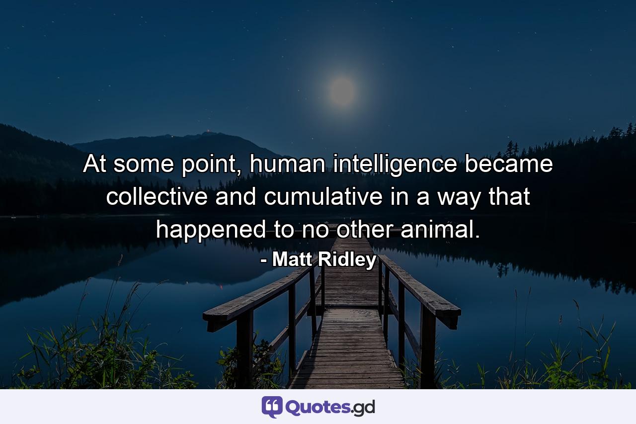 At some point, human intelligence became collective and cumulative in a way that happened to no other animal. - Quote by Matt Ridley