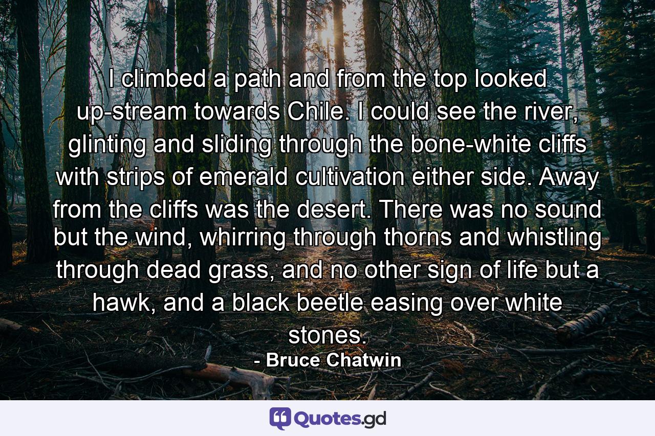 I climbed a path and from the top looked up-stream towards Chile. I could see the river, glinting and sliding through the bone-white cliffs with strips of emerald cultivation either side. Away from the cliffs was the desert. There was no sound but the wind, whirring through thorns and whistling through dead grass, and no other sign of life but a hawk, and a black beetle easing over white stones. - Quote by Bruce Chatwin