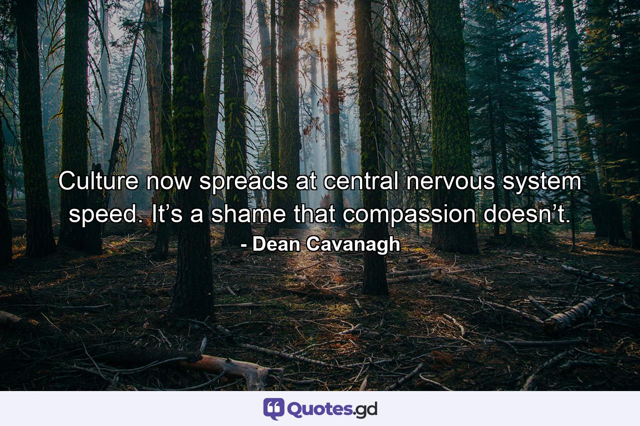 Culture now spreads at central nervous system speed. It’s a shame that compassion doesn’t. - Quote by Dean Cavanagh