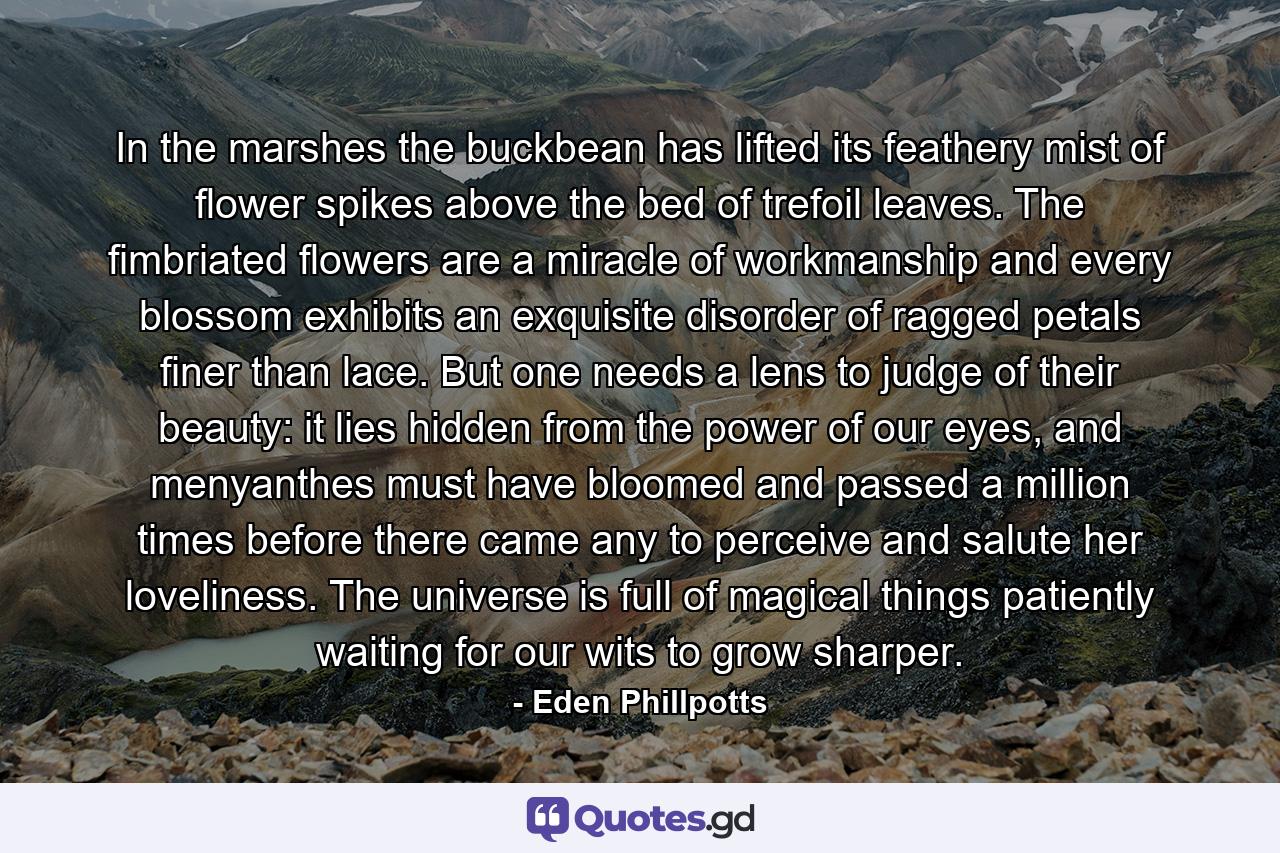 In the marshes the buckbean has lifted its feathery mist of flower spikes above the bed of trefoil leaves. The fimbriated flowers are a miracle of workmanship and every blossom exhibits an exquisite disorder of ragged petals finer than lace. But one needs a lens to judge of their beauty: it lies hidden from the power of our eyes, and menyanthes must have bloomed and passed a million times before there came any to perceive and salute her loveliness. The universe is full of magical things patiently waiting for our wits to grow sharper. - Quote by Eden Phillpotts