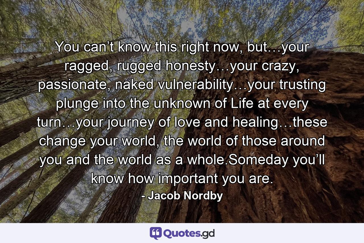 You can’t know this right now, but…your ragged, rugged honesty…your crazy, passionate, naked vulnerability…your trusting plunge into the unknown of Life at every turn…your journey of love and healing…these change your world, the world of those around you and the world as a whole.Someday you’ll know how important you are. - Quote by Jacob Nordby