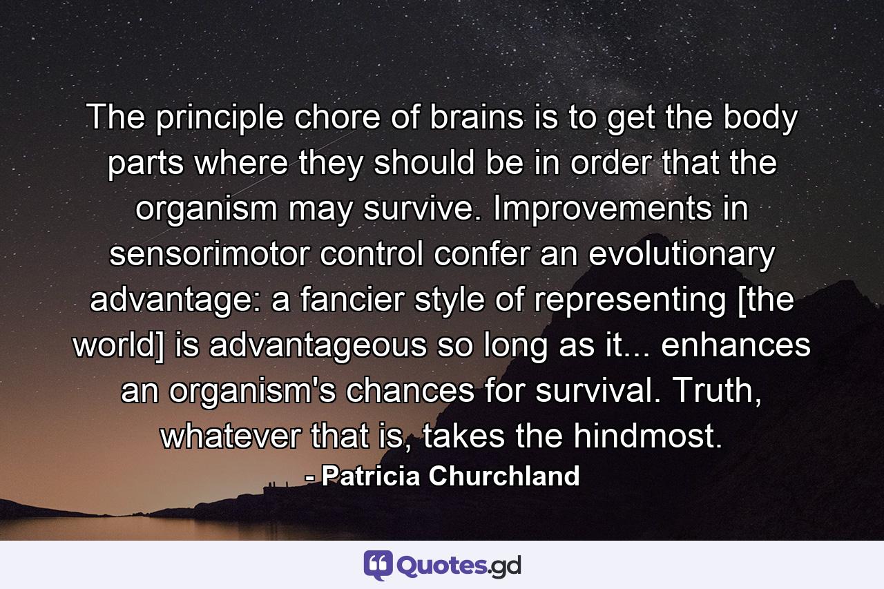 The principle chore of brains is to get the body parts where they should be in order that the organism may survive. Improvements in sensorimotor control confer an evolutionary advantage: a fancier style of representing [the world] is advantageous so long as it... enhances an organism's chances for survival. Truth, whatever that is, takes the hindmost. - Quote by Patricia Churchland