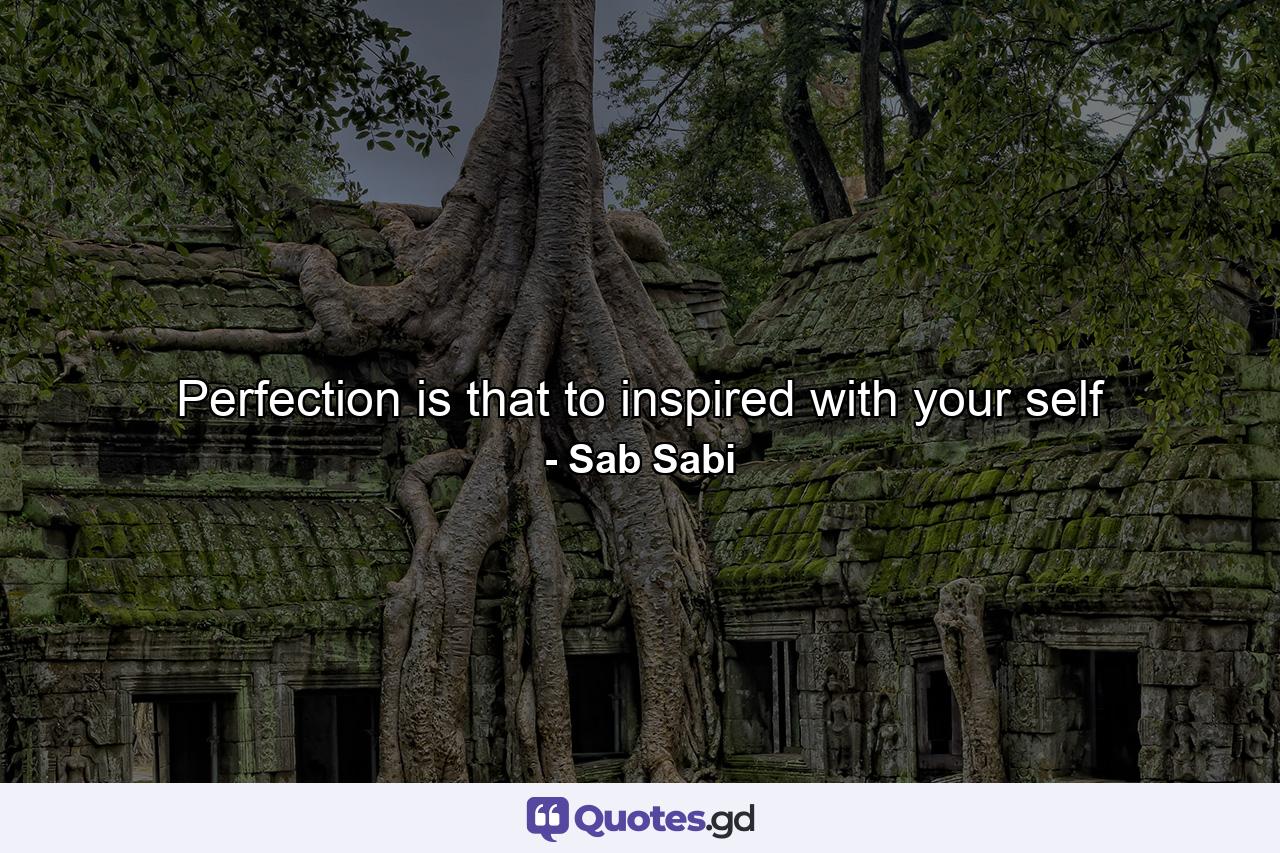 Perfection is that to inspired with your self - Quote by Sab Sabi