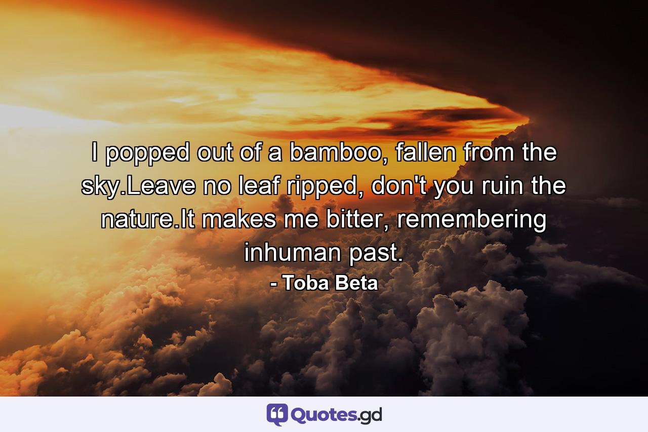 I popped out of a bamboo, fallen from the sky.Leave no leaf ripped, don't you ruin the nature.It makes me bitter, remembering inhuman past. - Quote by Toba Beta